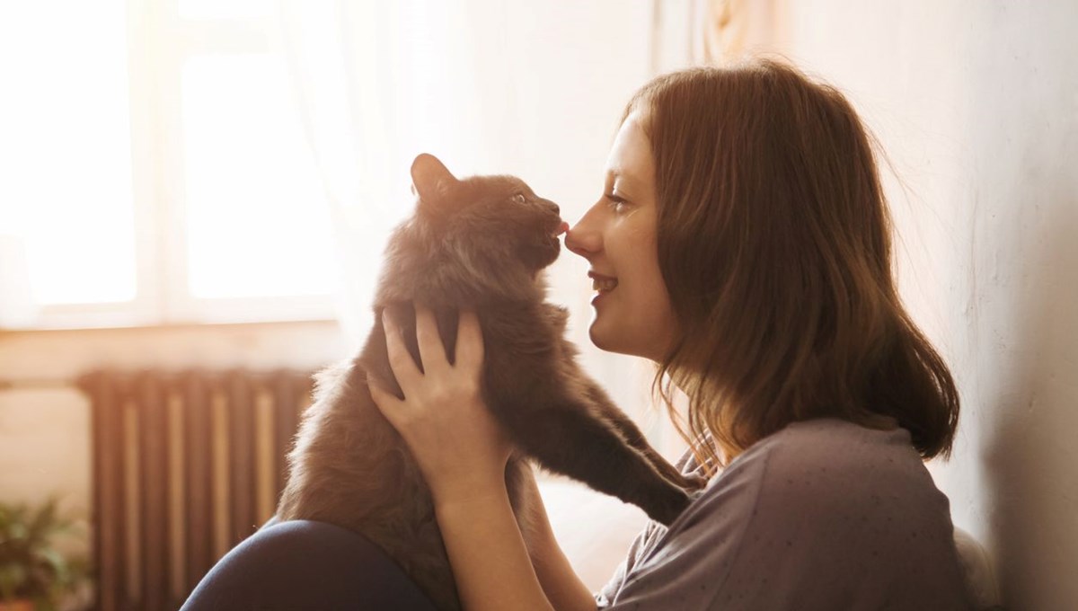 Nöroloji uzmanı açıkladı: Kedi tırmığı hayatınızı etkileyebilir