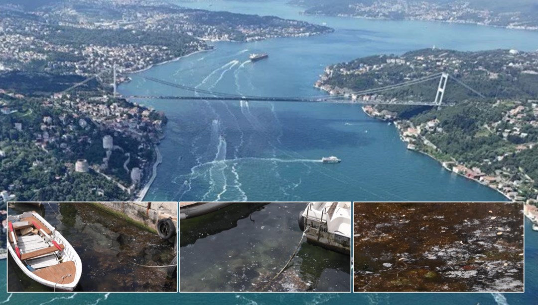 Marmara'nın kabusu İstanbul Boğazı'na geri döndü: "Deniz bağırıyor!"