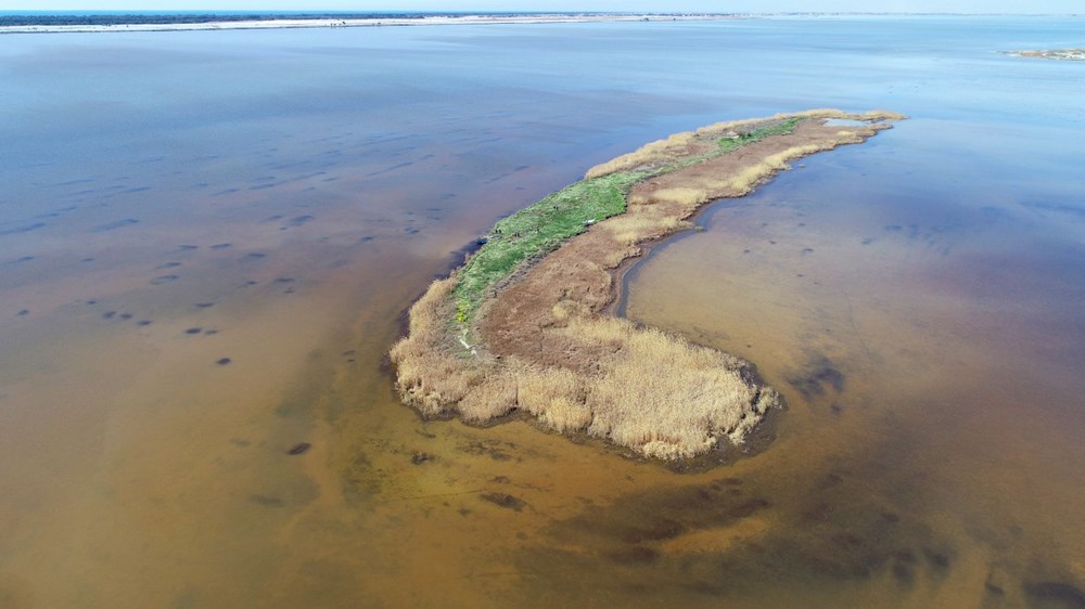 Hidden paradise discovered 3 years ago in Adana: Narcissus Island - 13