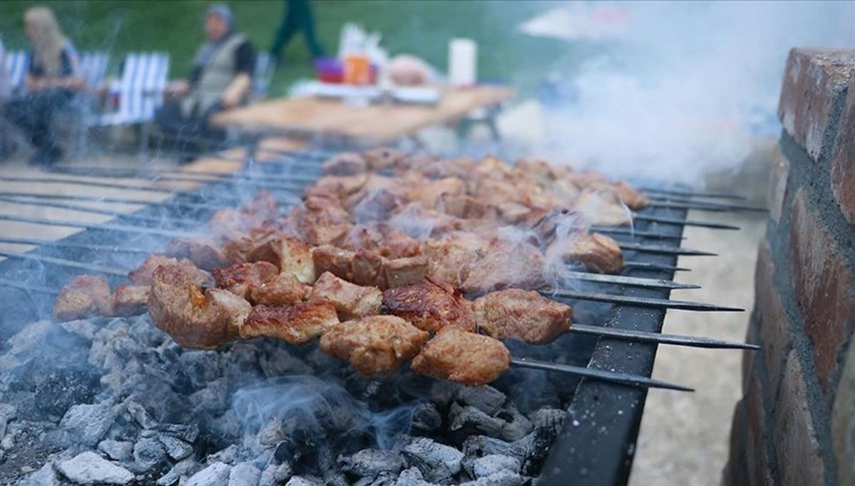 İzmir'de yangınlara karşı piknik alanları kısıtlaması