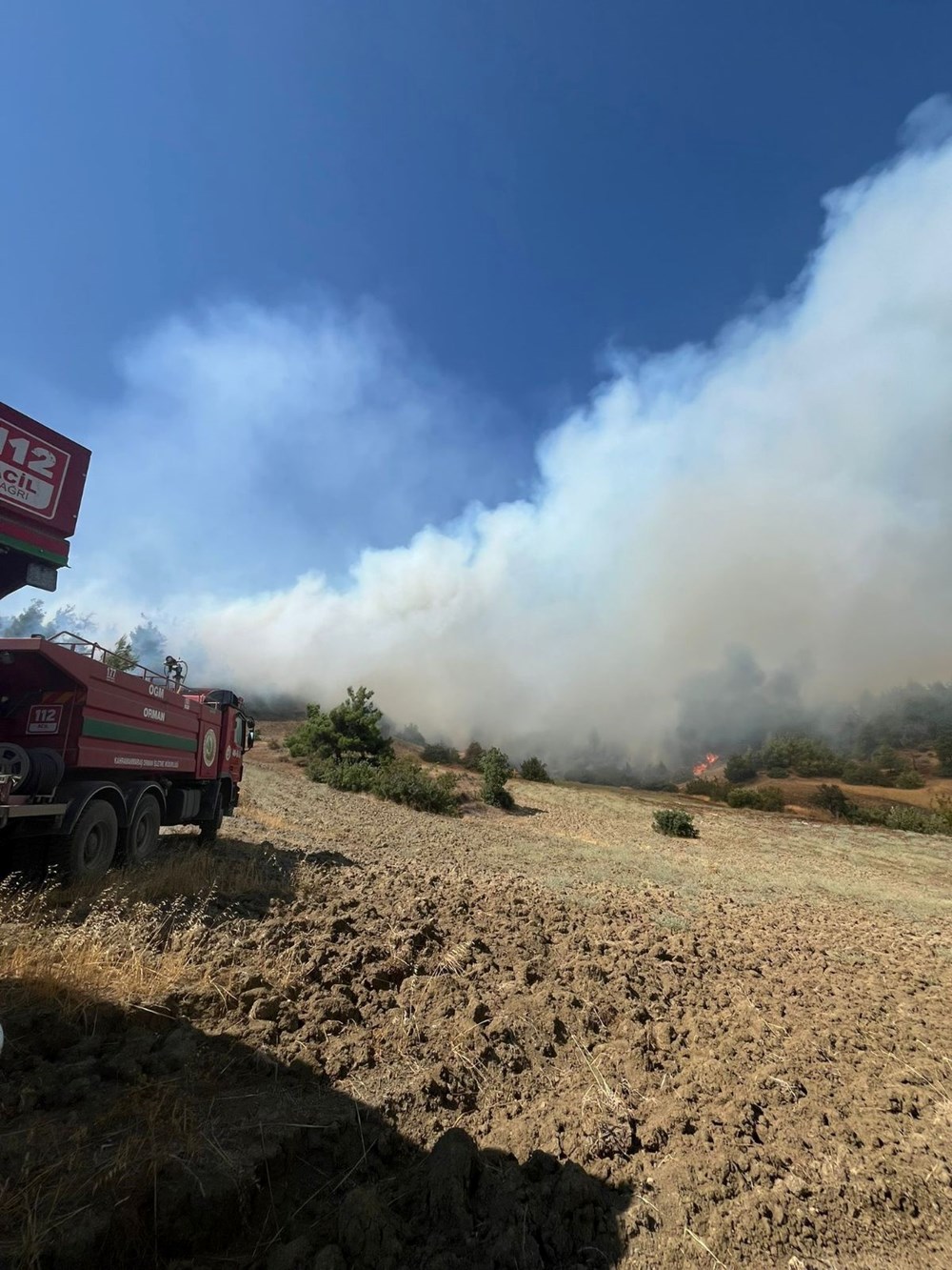 Kahramanmaraş'ta orman yangını: Ekipler müdahale ediyor - 2