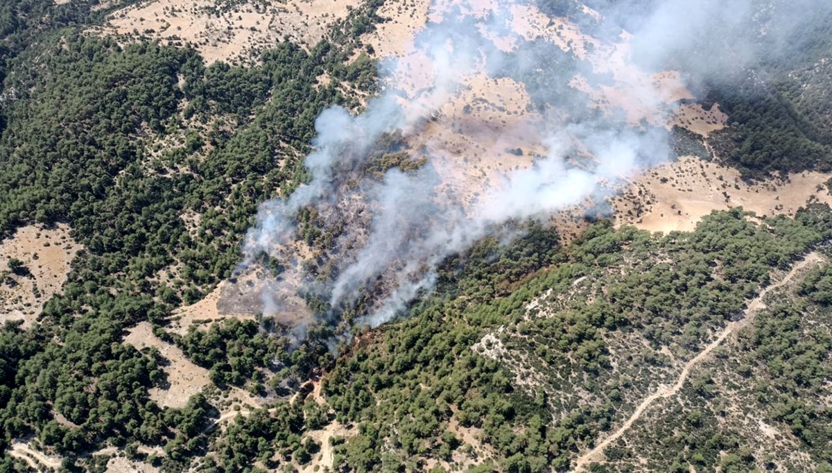 Kaş'ta orman yangını