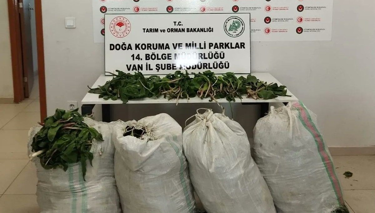 Dev soğan kaçakçılığına 387 bin lira ceza Dev soğan kaçakçılığına 387 bin lira ceza