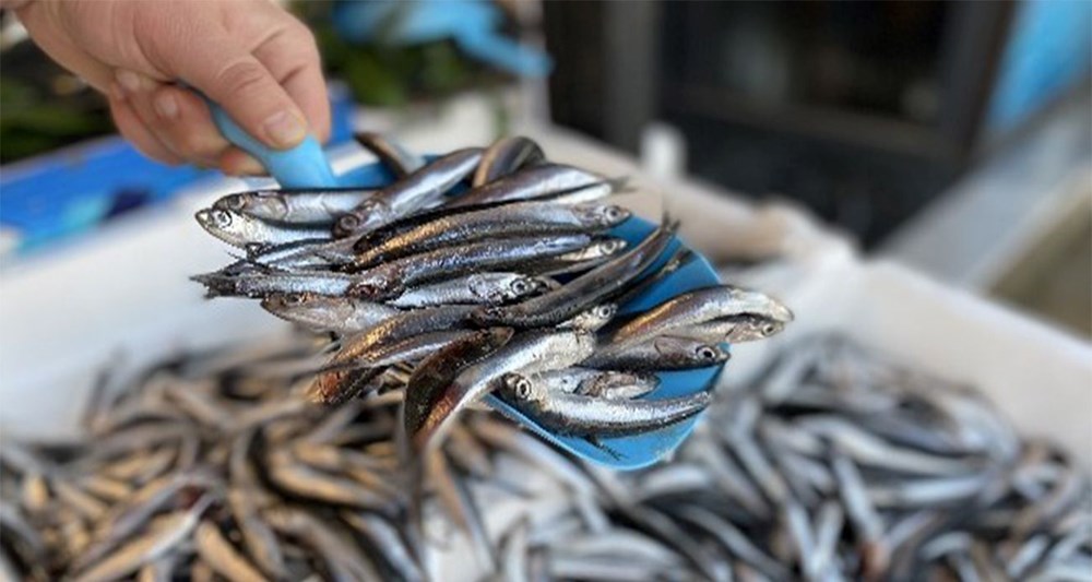 rvk1lZ8LAUSw 4JgDJEIZw