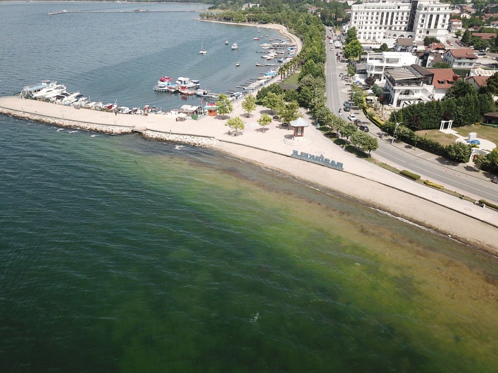 Marmara'da müsilaj şüphesi: Numuneler TÜBİTAK'a gönderildi - 4