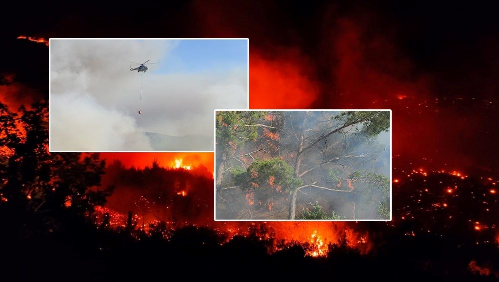 Hatay'da orman yangını: Alevlerin yaklaştığı evler tahliye edildi - 11