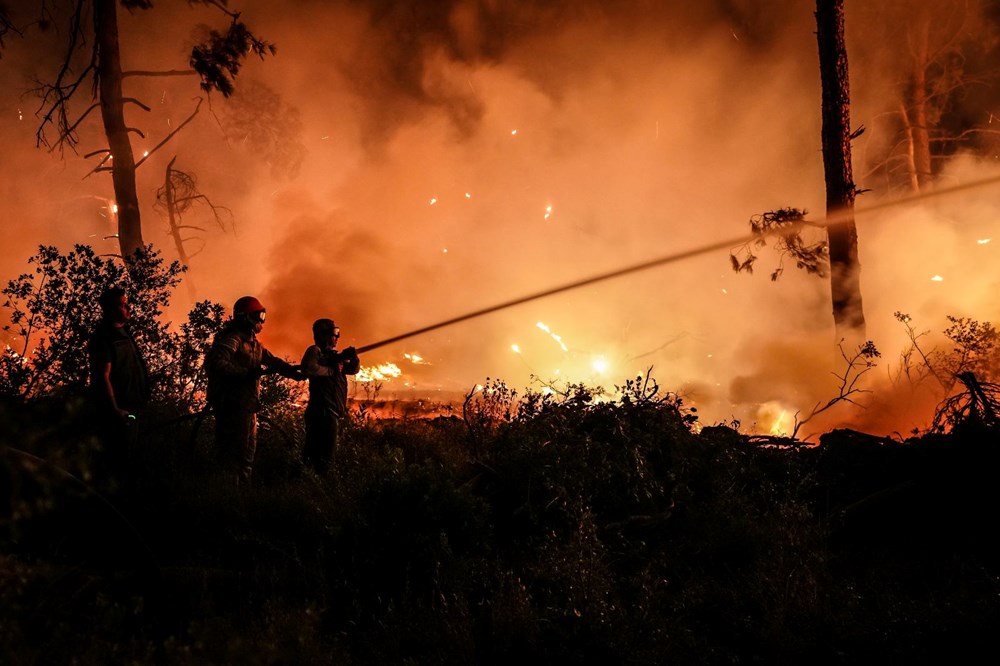 Çanakkale ve Muğla'da orman yangını: Gelibolu'da alevler büyük ölçüde kontrol altında - 5
