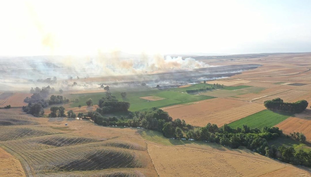 Yozgat'ta 1000 dekar buğday tarlası yandı