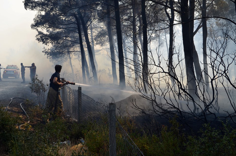 İzmir'deki orman yangını kontrol altına alındı - 2