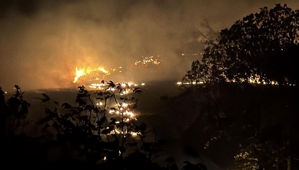 Tekirdağ'da anız yangını
