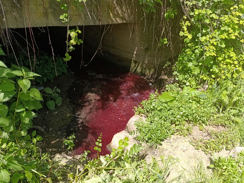 s47anrzl10aME31SmJYsyQ