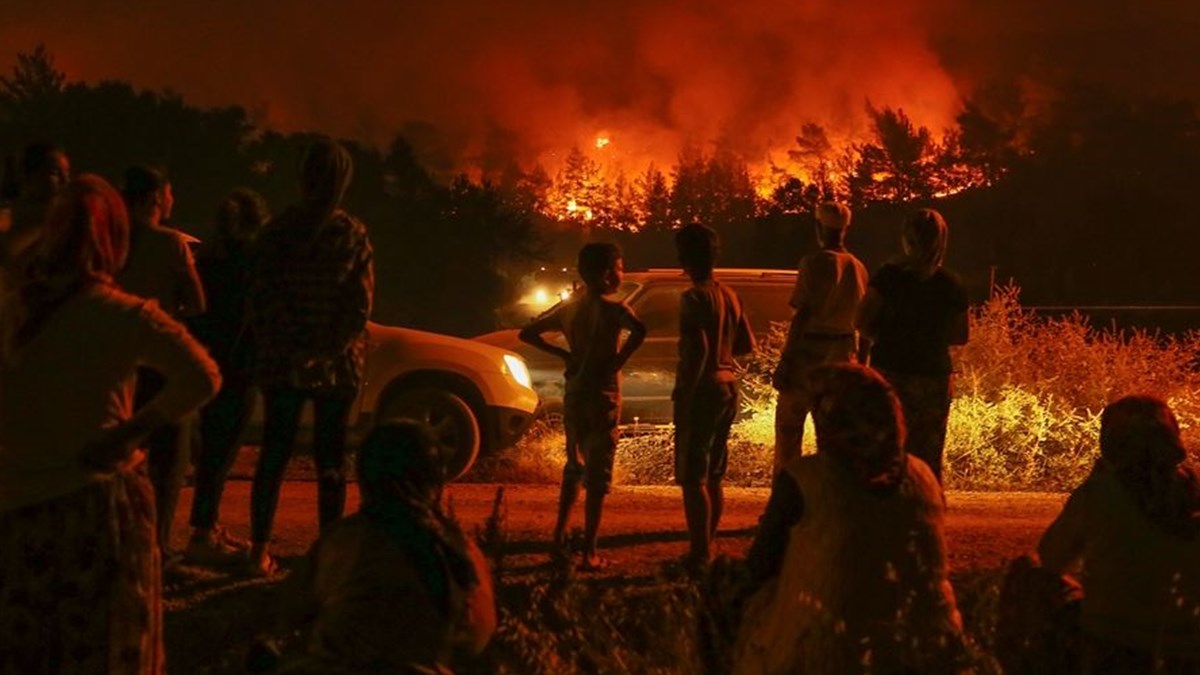 izmir karabaglar da orman yangini