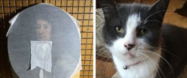 17. yüzyıldan kalma tabloya kedi tırmığı NTV