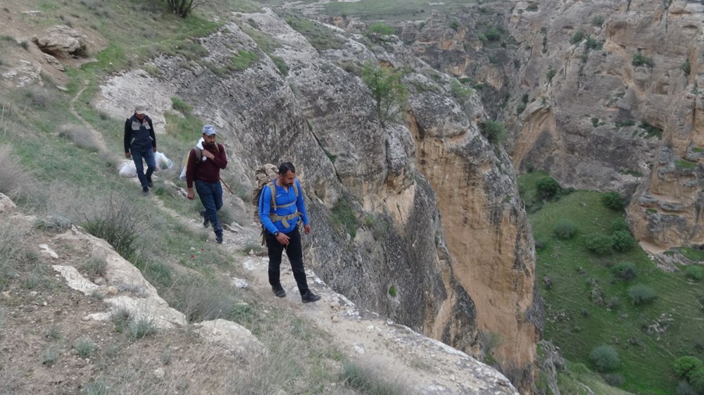 "Yılan otu" olarak da biliniyor, mevte meydan okuyup topluyorlar: Hastalıkların şifası bitki 74 s7sNDuiGkke7PdybClqd3w