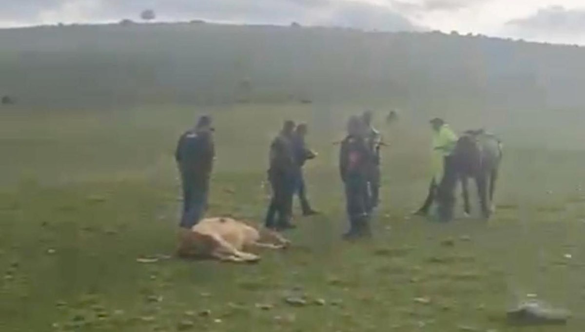 Ardahan’da meraya yıldırım düştü