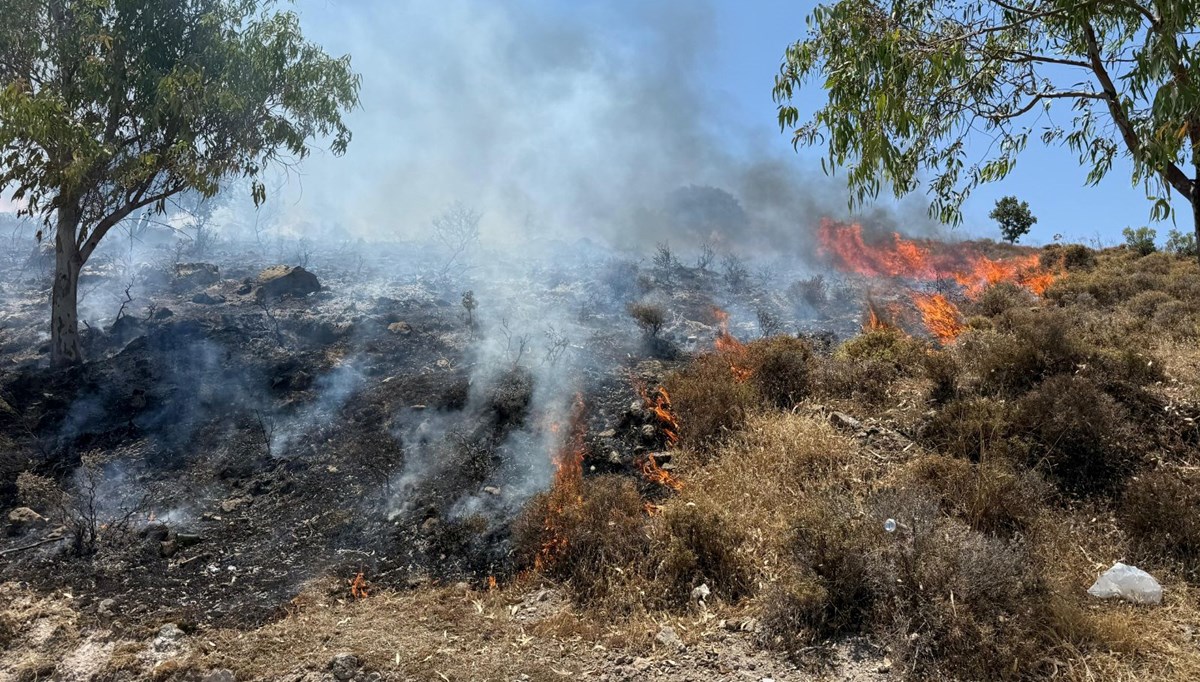 Bodrum'da yangın