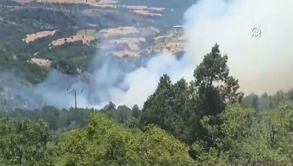 Bolu, Antalya ve Denizli’de orman yangını