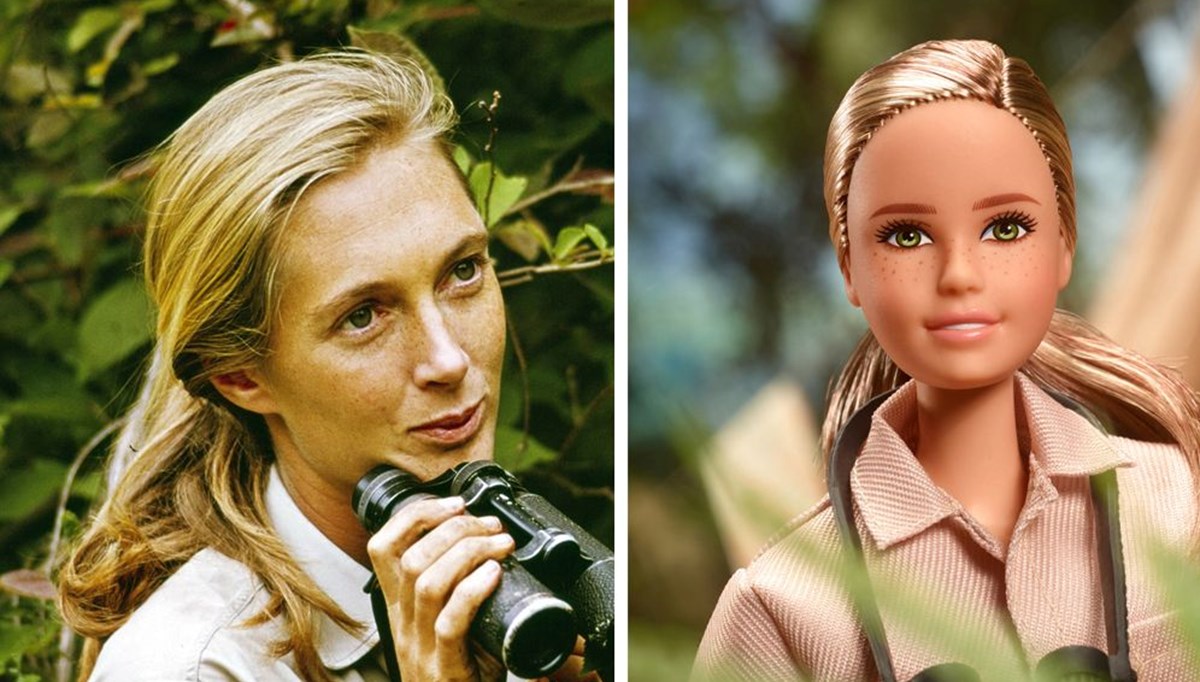 Ünlü bilim insanı Jane Goodall'ın oyuncak bebeği yapıldı: Çocuklara ilham verecek