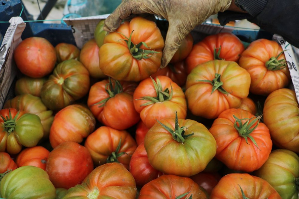 Tarladan Sofraya Fiyat Uçurumu: Neden 28 TL'lik Ürün Marketlerde 60 TL? 75 s9VM1pL8YkG 01jCvorNBg