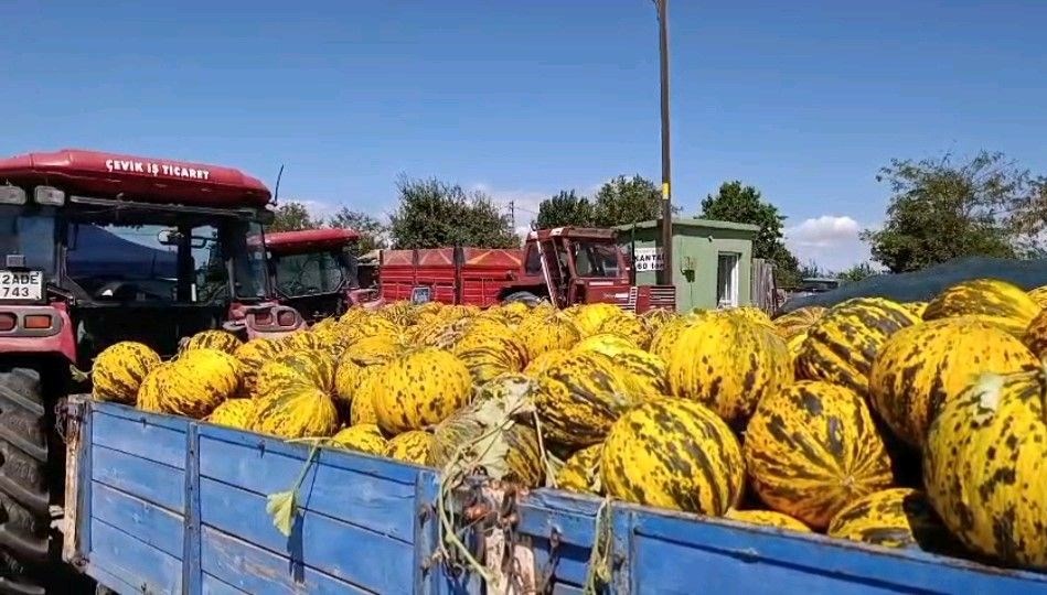 Yüz yıllık aynı tat: Kilosu 15 liraya satılıyor