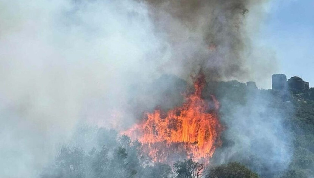 Çanakkale ve Manisa'da yangın: Alevler antik kente sıçradı