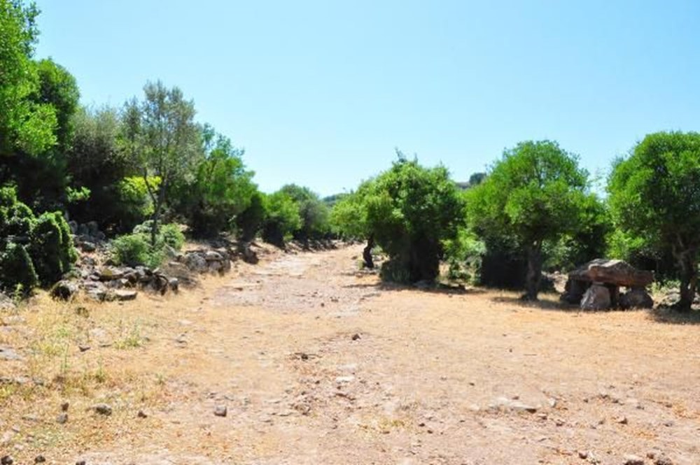 Aigai Antik Kenti'nde 3 bin mezar: Ortalama yaşam 40-45 yıl - 18