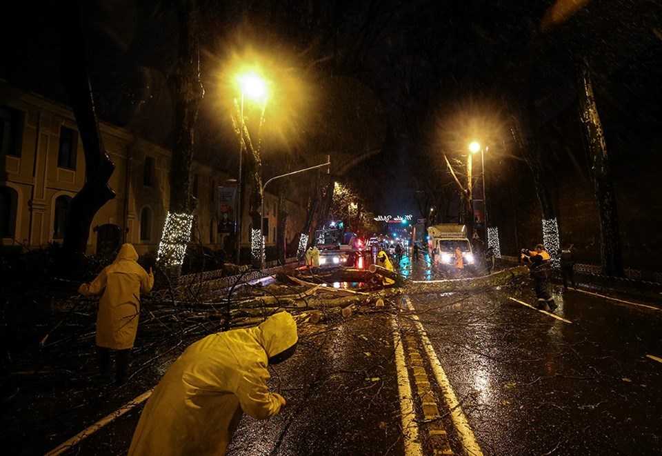 İstanbul'da fırtına ağaçları devirdi - 1