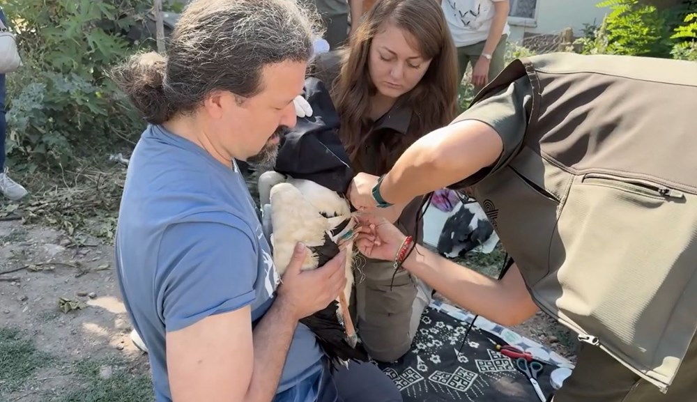 Yaren leylek yavrularından ayrıldı: Biri Mısır'da biri Batı Şeria'da - 2