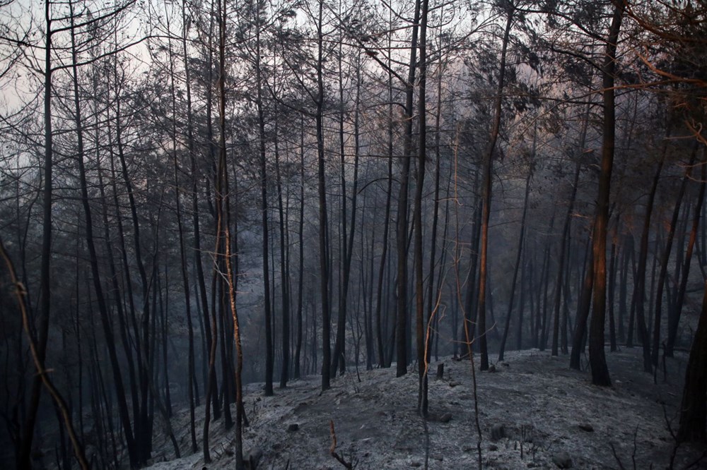 Adana Kozan'daki orman yangını 3. gününde - 8