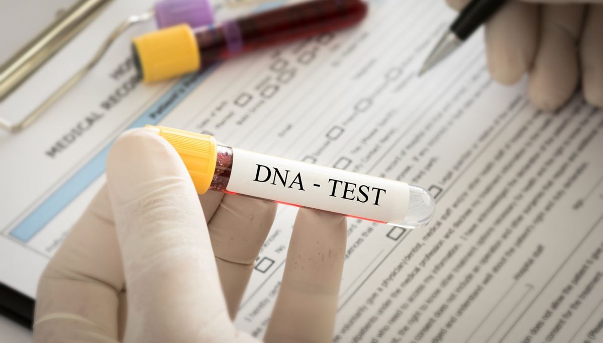 Hediye gelen DNA testi hayatını altüst etti: 10'dan fazla kardeşi olduğunu öğrendi