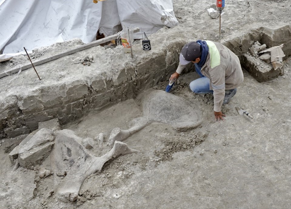 Meksika'da 15 bin yıllık mamut tuzakları bulundu - 2