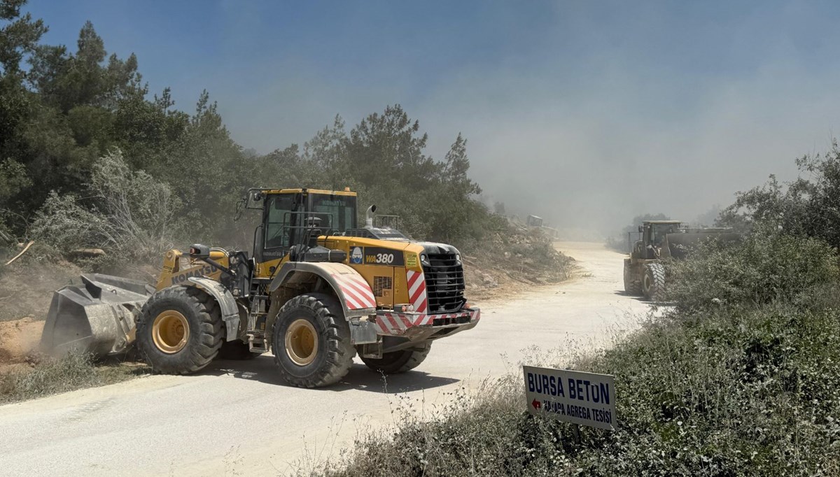 Bursa'da orman yangını