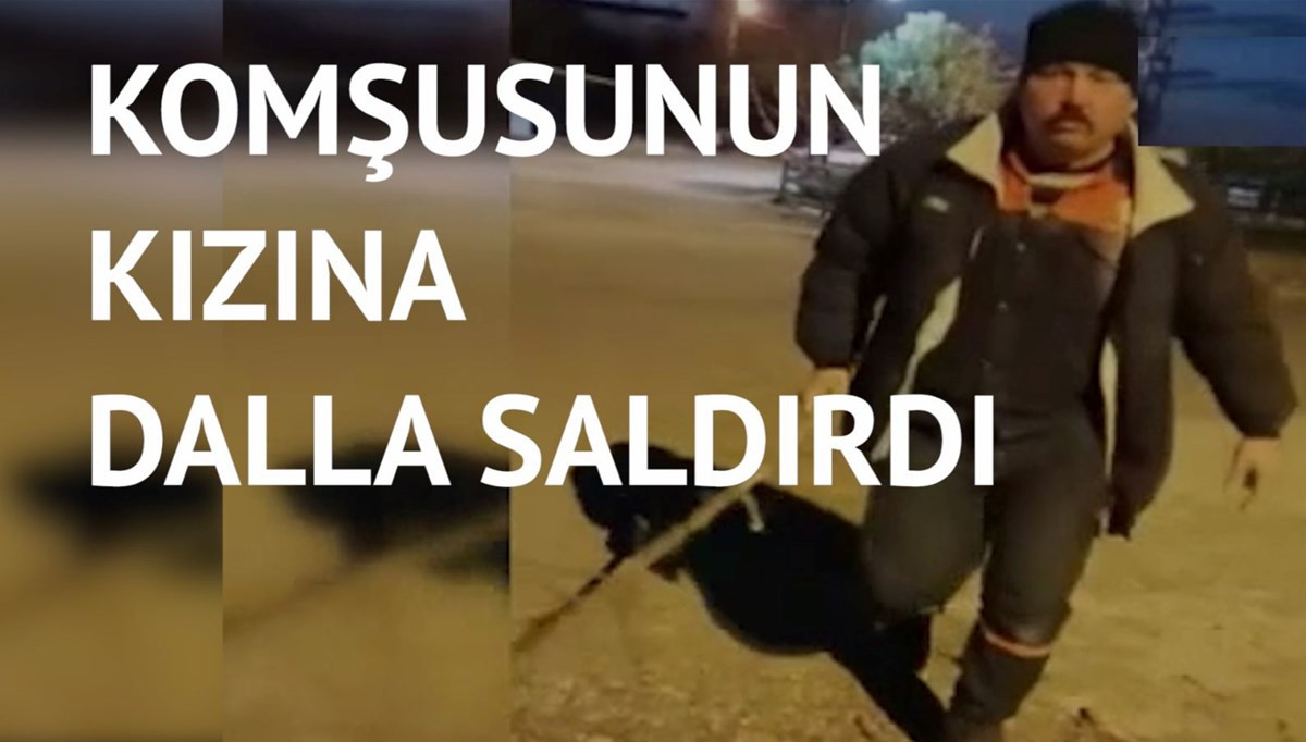 Sokak hayvanlarını besleyen genç kız saldırıya uğradı