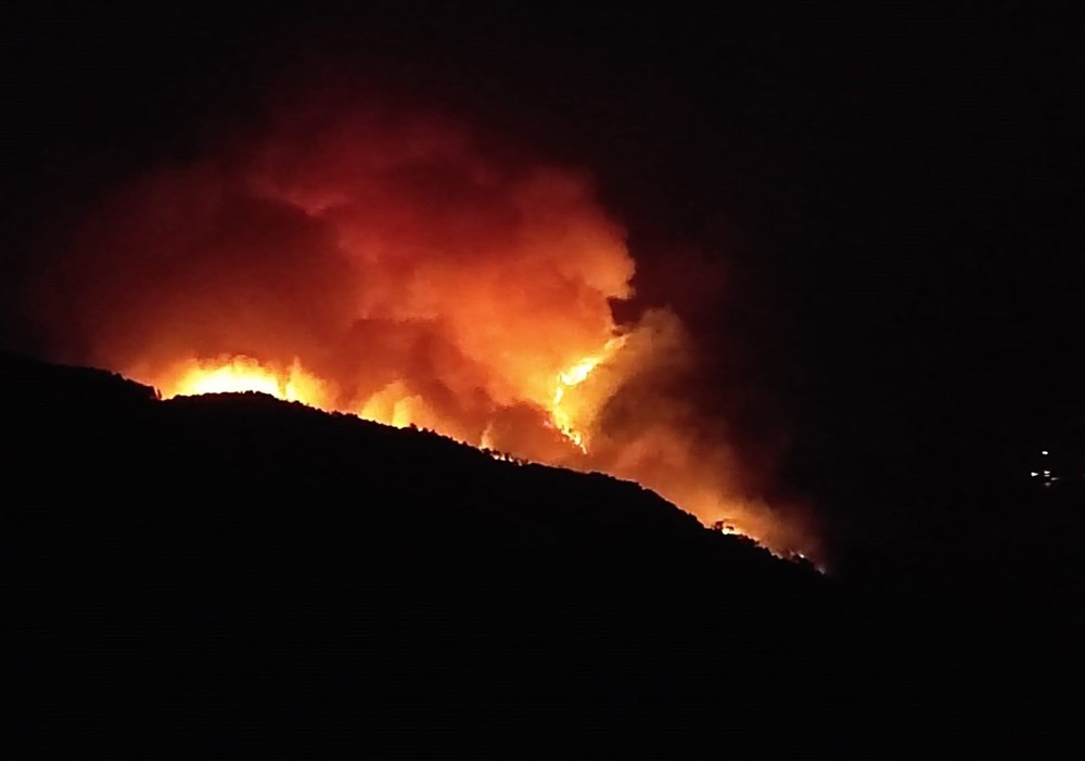 Antalya, Adana, Mersin, Muğla, Osmaniye ve Kayseri'de orman yangınları - 17