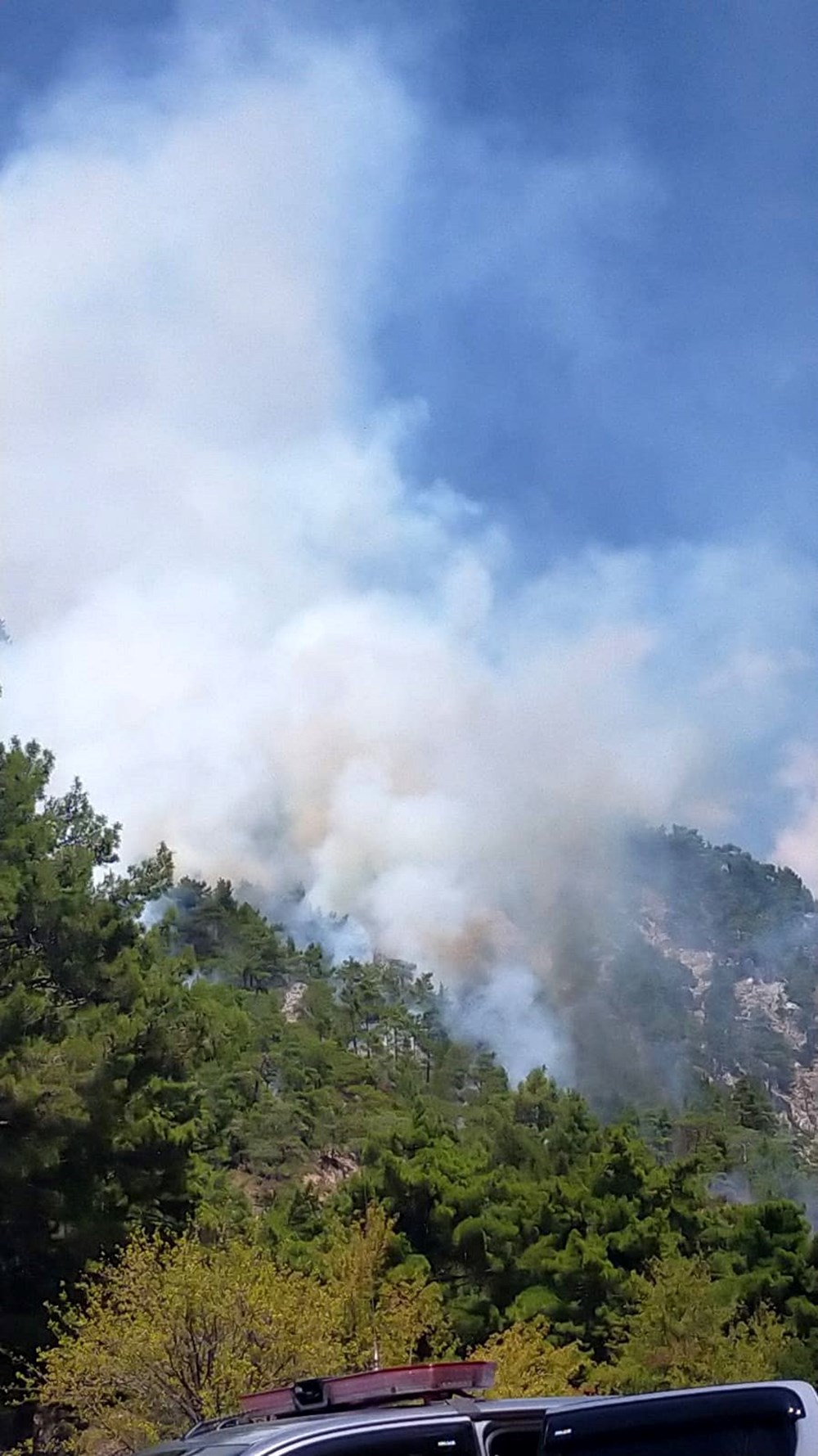 Muğla,
İzmir ve Antalya’da orman yangını: Alevler hızla yayıldı - 8