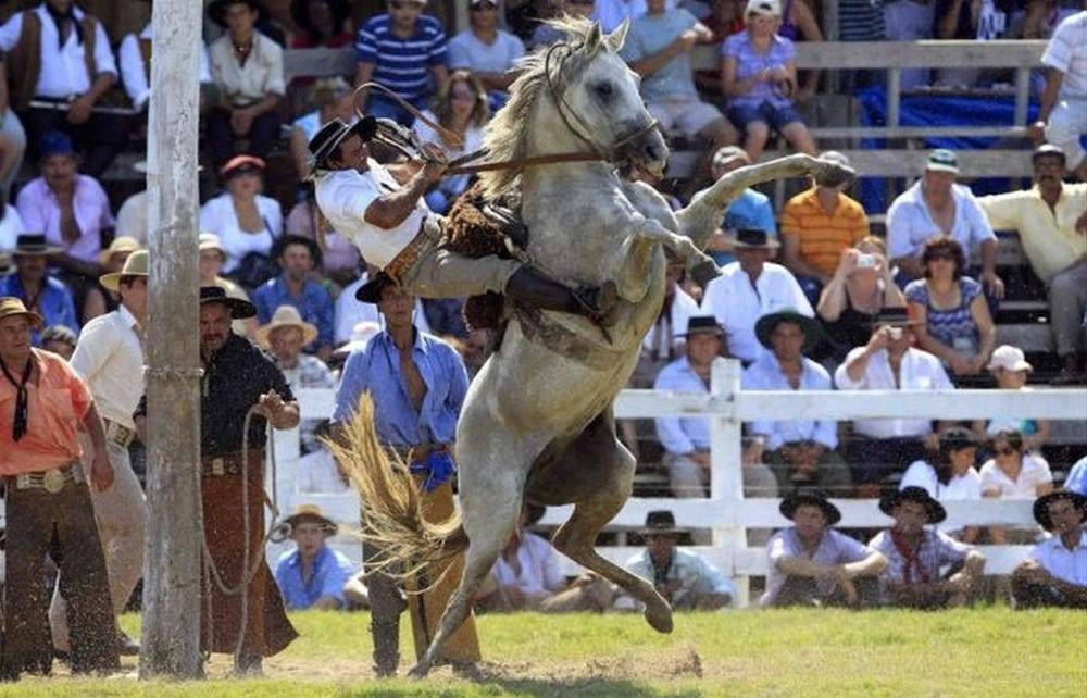 Родео на необъезженной лошади. Гаучо аргентина. Гаучо на лошади. Гаучо на лошади. Необъезженный конь 4.