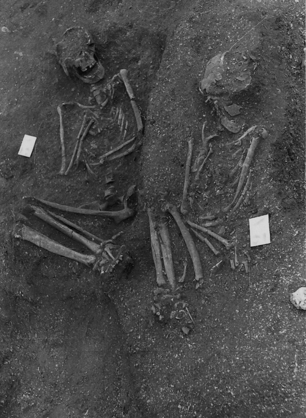 Kayıp fotoğraflar tarihi değiştirdi: En eski mumyalama işlemi 8 bin yıl önce Portekiz'de yapıldı - 4