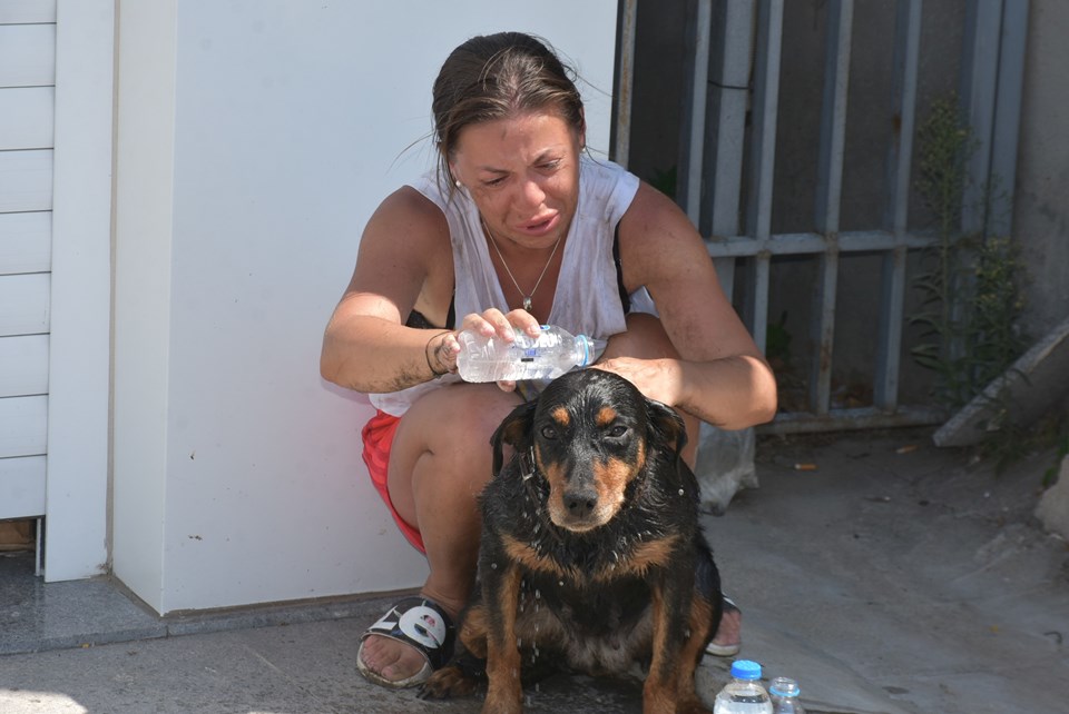 Ukraynalı çiftin otomobilde bıraktığı köpeklerden biri, havasızlıktan öldü - 3