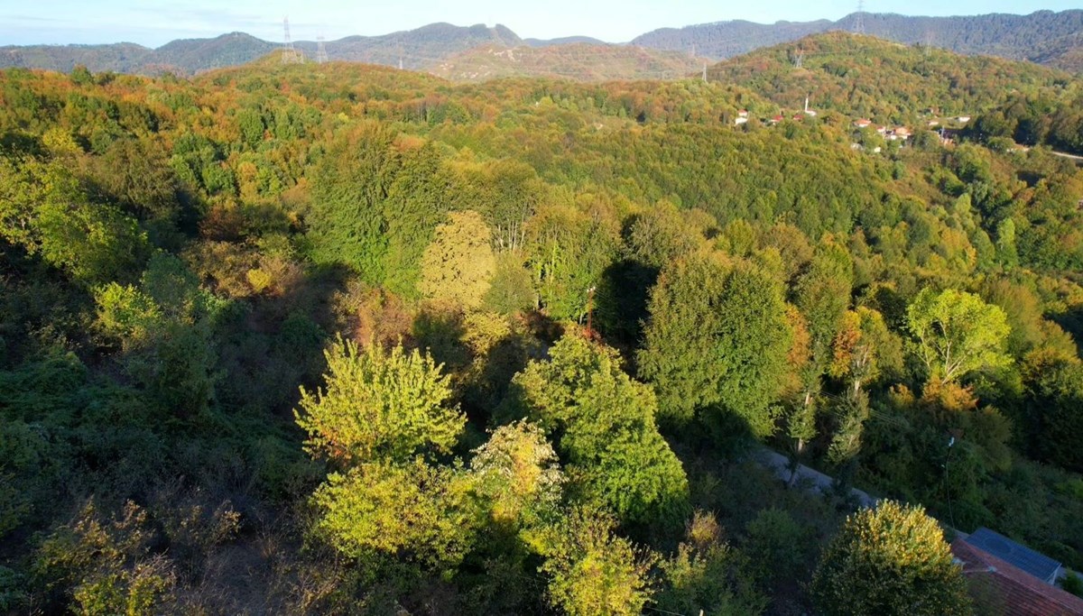 Zonguldak ormanlarında sonbahar renkleri havadan görüntülendi
