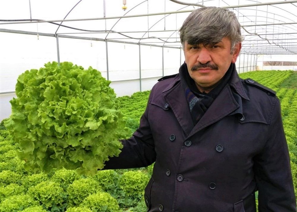 Üretici tüketici fiyatı arasında uçurum: Fiyatı yüzde 400 artıyor - 2