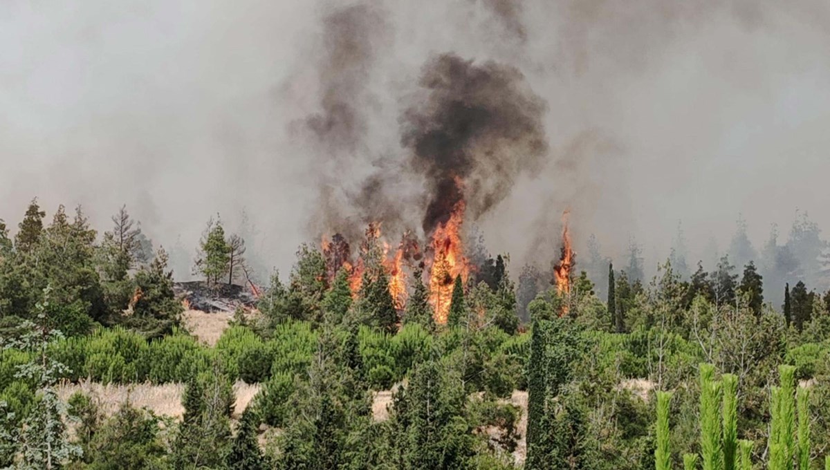 Denizli'deki orman yangınının nedeni belli oldu: 3 şüpheli gözaltında