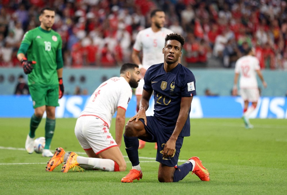 Dünya Kupası finali öncesi Fransa'da deve gribi paniği! - 3