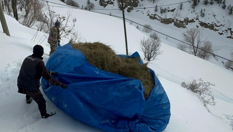 Zorlu kış şartlarında hayvanları için ot taşıdılar