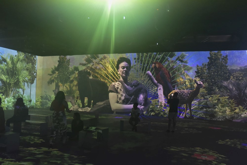 Braziliyada rəqəmsal Frida Kahlo sərgisi - 9