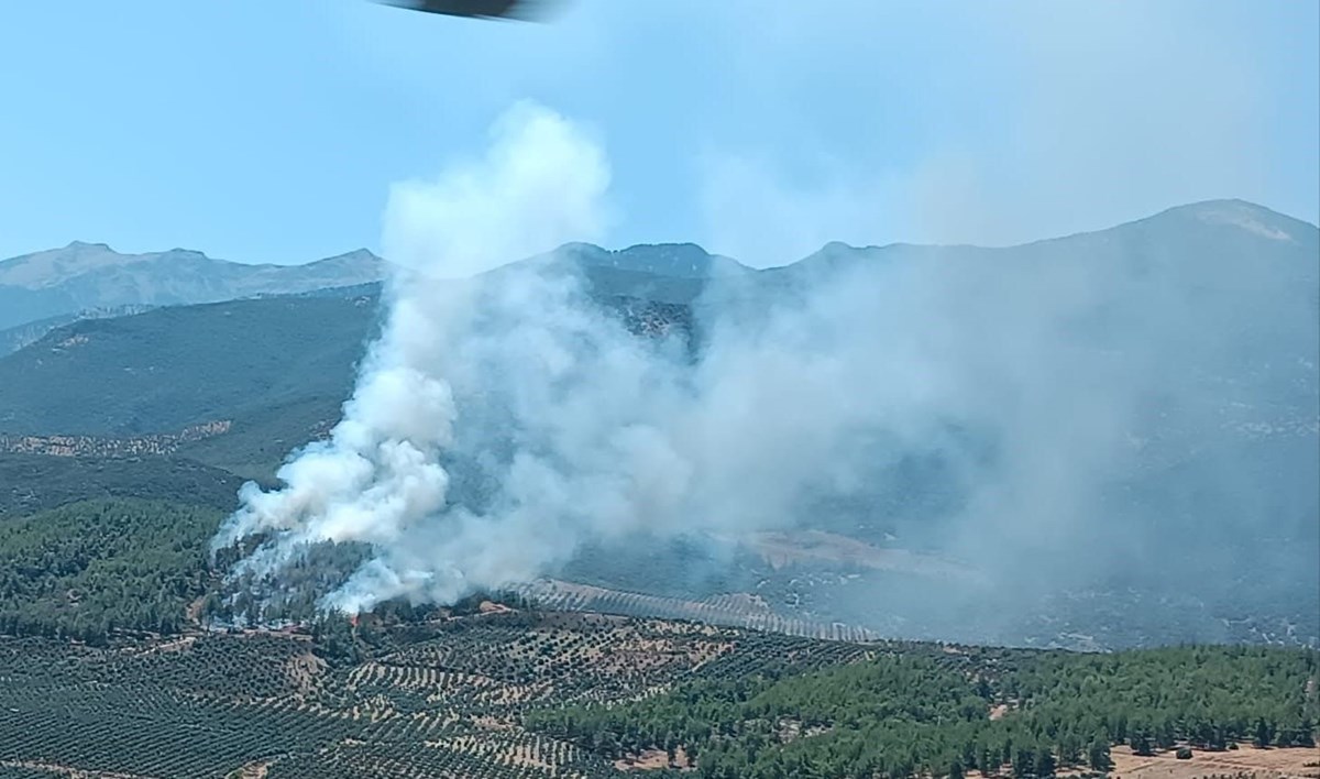 Hatay'da orman yangını: Havadan ve karadan müdahale sürüyor