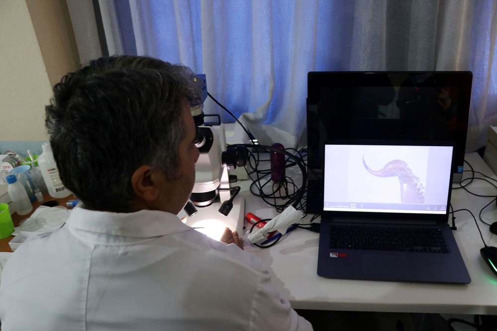 Bilimsel olarak kanıtlandı: Sadece Türkiye'de var - 6