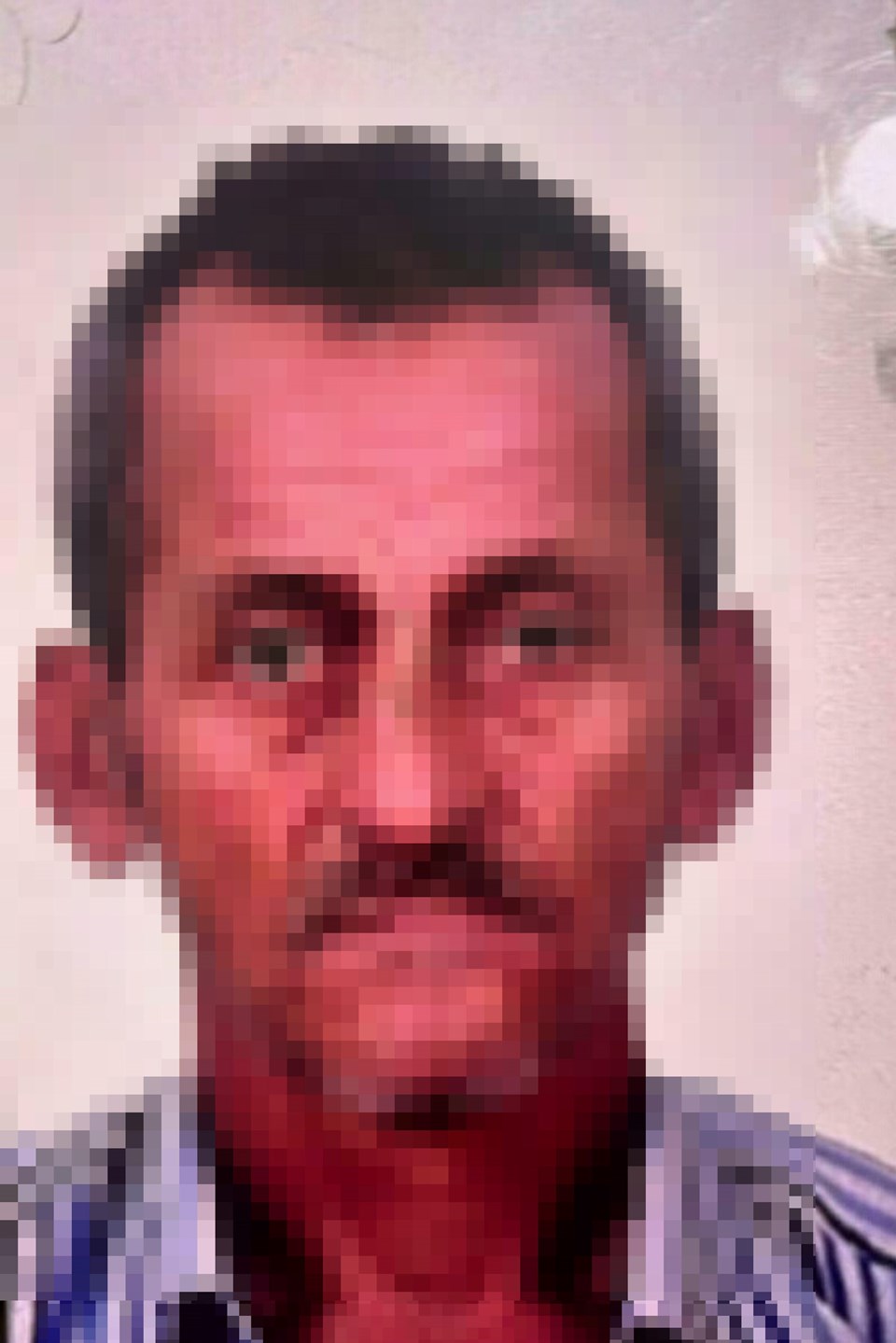 İzmir'de hayvan katliamı: Zehirli etleri çocuklara dağıttırmış - 1