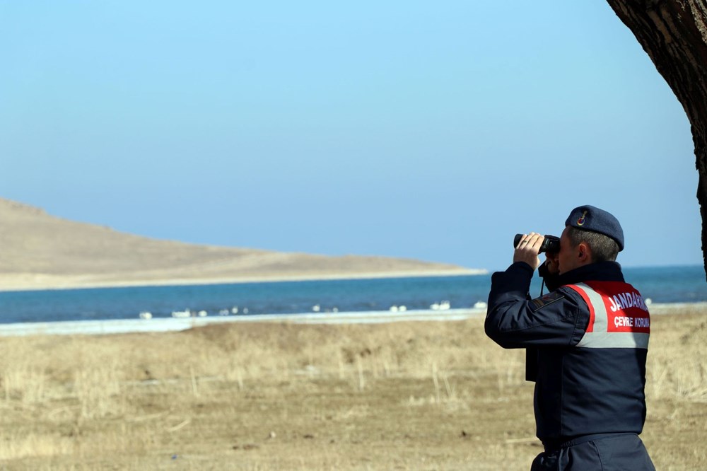 Jandarmanın kuğu nöbeti: Nesilleri tehlike altında - 10