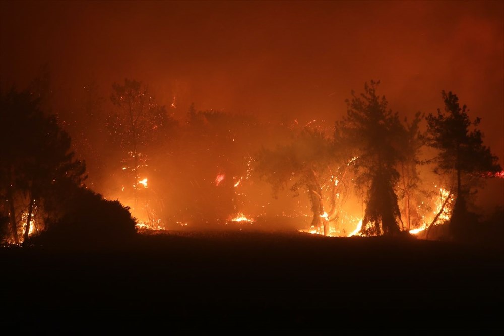 Antalya, Adana, Mersin, Aydın, Muğla, Osmaniye ve Kayseri'de orman yangınları - 6