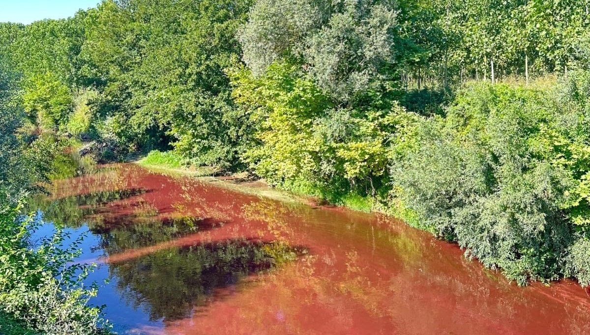 Mudurnu Çayı kızıla döndü
